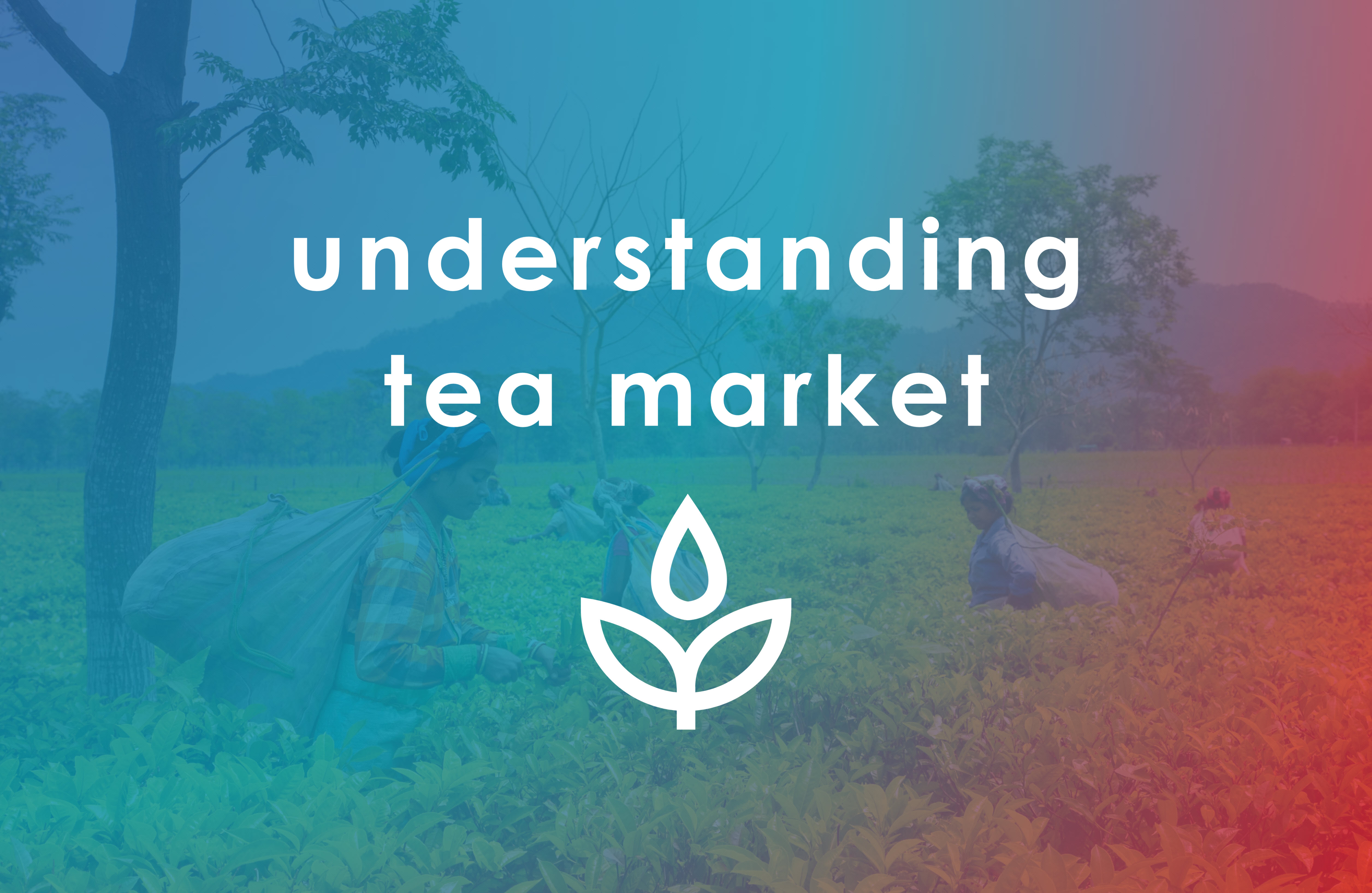 Understanding Tea Market